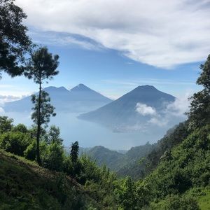 Meet your Posher, Joy